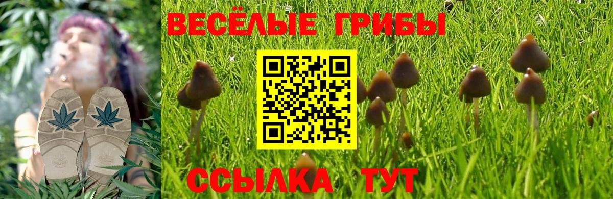 Галлюциногенные грибы MAGIC MUSHROOMS  Вход с VPN  Северобайкальск 